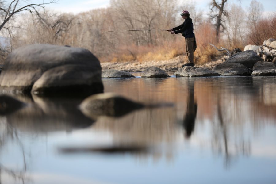 Colorado State University Grant Gallen fly fishes on the Cache la Poudre River in Fort Collins on Feb. 16, 2018.  (Forrest Czarnecki | The Collegian)