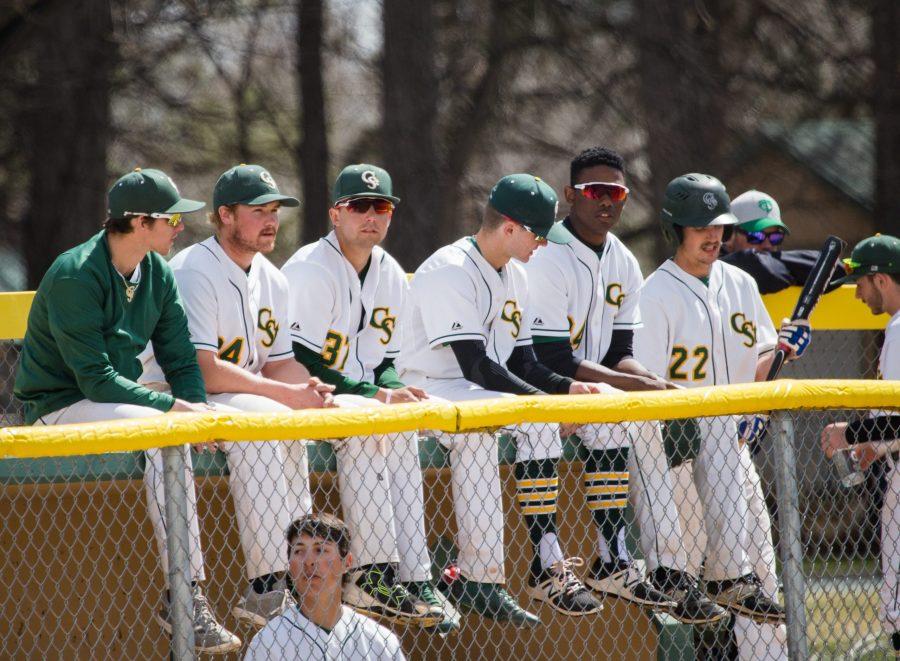 CSU baseball members watch the game in the dugout  during the game on March 31. (Tony Villalobos May | Collegian)