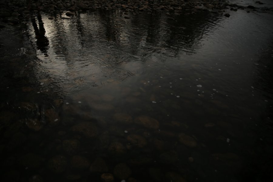 Colorado State University junior Clay Westbrook fly fishes along the Cache la Poudre River on April 4, 2018 in northern Fort Collins. Westbrook found some time to go fishing after his classes were done for the day.  (Forrest Czarnecki | The Collegian)