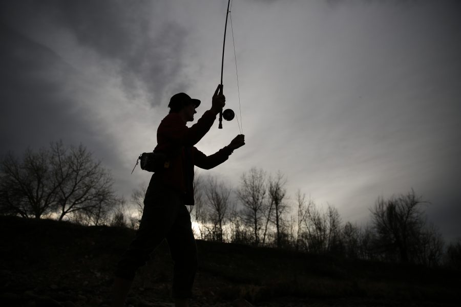Colorado State University junior Clay Westbrook fly fishes along the Cache la Poudre River on April 4, 2018 in northern Fort Collins. Westbrook found some time to go fishing after his classes were done for the day.  (Forrest Czarnecki | The Collegian)