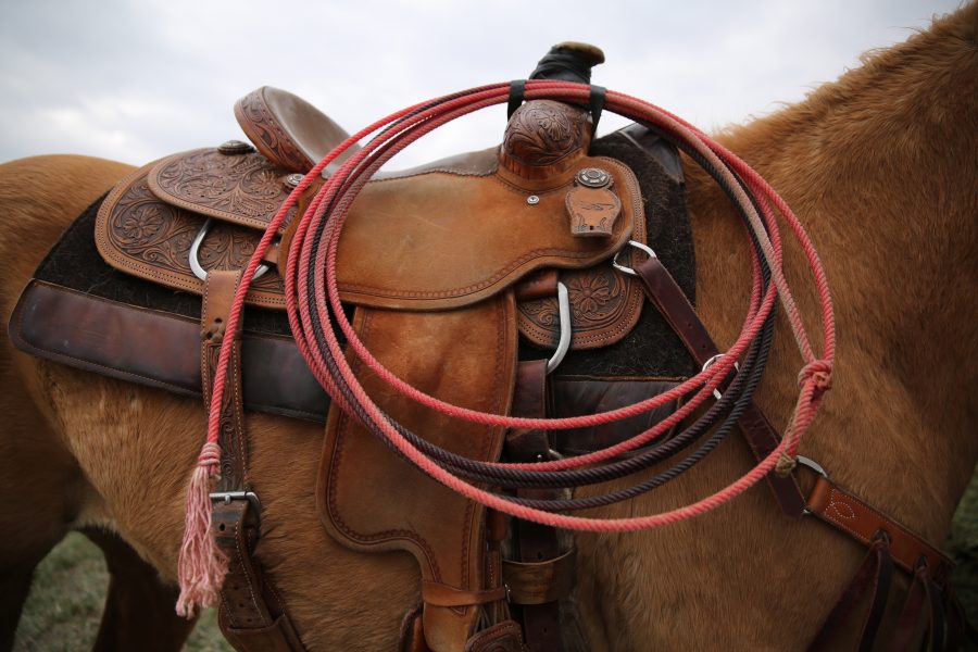 A horse is completely tacked up and waits to be ridden before the 68th annual Skyline Stampede rodeo on April 7, 2018 at the B.W. Pickett Arena in Fort Collins.  (Forrest Czarnecki | The Collegian)