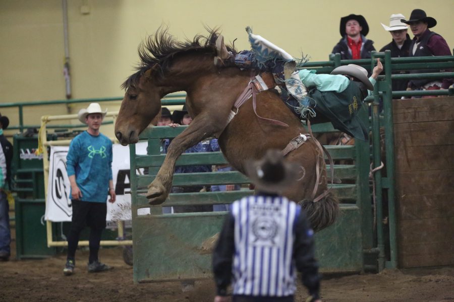 Colorado State University's Austin Reynolds competes in bareback riding at the 68th annual Skyline Stampede rodeo on April 7, 2018 at the B.W. Pickett Arena in Fort Collins.  (Forrest Czarnecki | The Collegian)