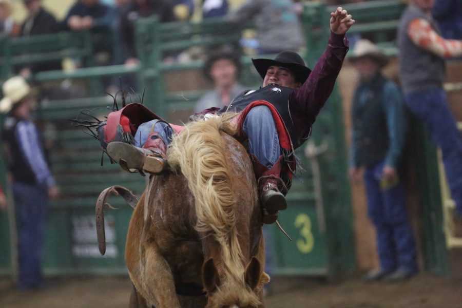 Rowdy Moon, from Chadron State, holds on tight during the bareback riding event at the 68th annual Skyline Stampede rodeo on April 7, 2018 at the B.W. Pickett Arena in Fort Collins.  (Forrest Czarnecki | The Collegian)