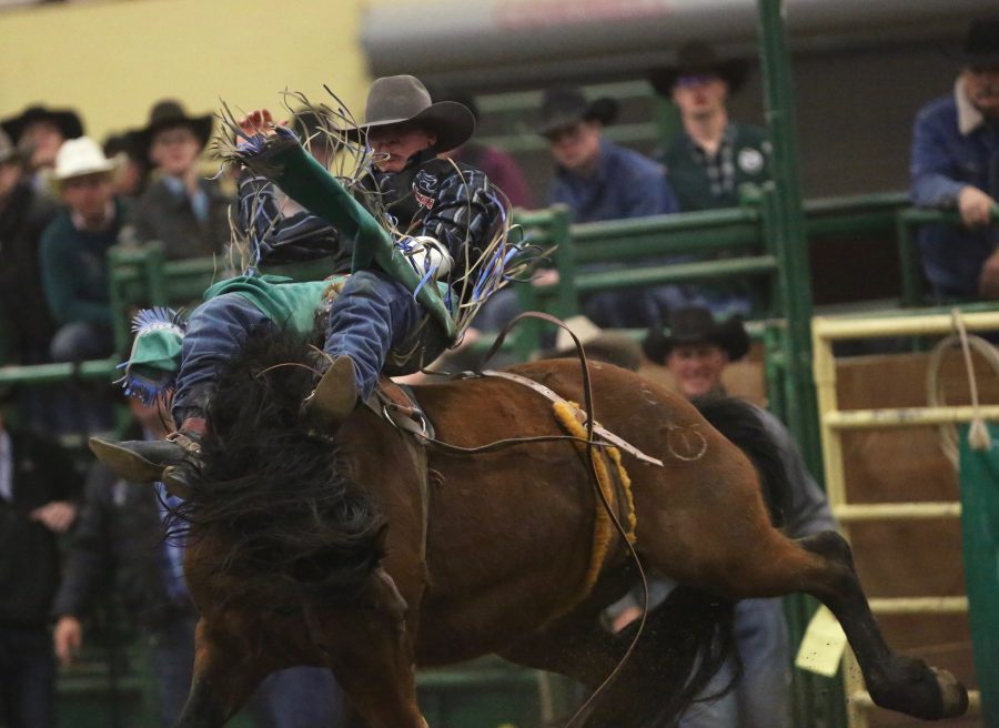 Ames Chance, from Sheridan College of Wyoming, holds on tight during the bareback riding event at the 68th annual Skyline Stampede rodeo on April 7, 2018 at the B.W. Pickett Arena in Fort Collins.  (Forrest Czarnecki | The Collegian)