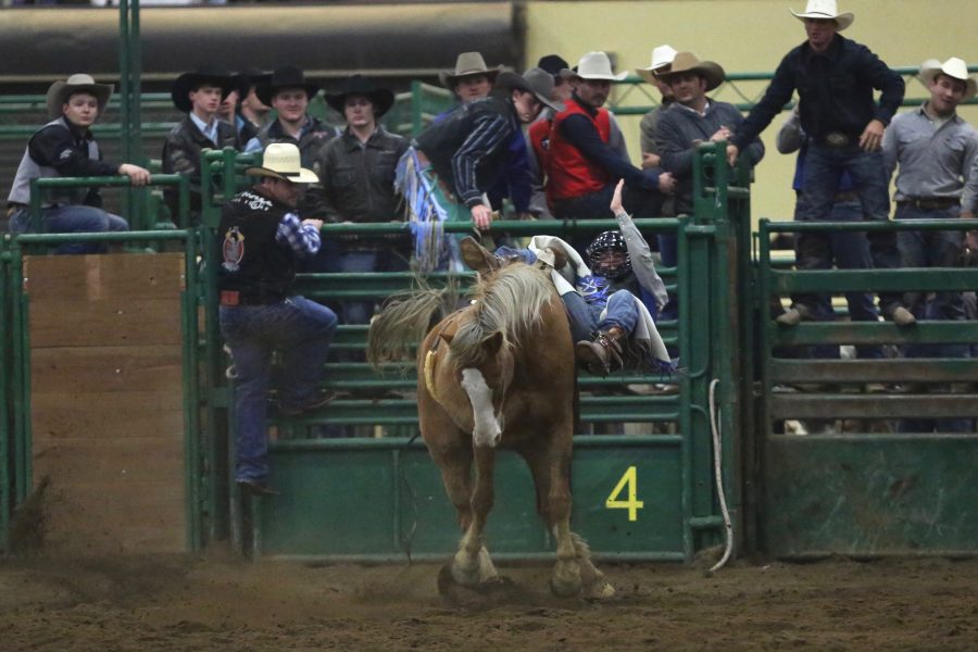 Griffin Gluck, from the United States Air Force Academy, holds on tight during the bareback riding event at the 68th annual Skyline Stampede rodeo on April 7, 2018 at the B.W. Pickett Arena in Fort Collins.  (Forrest Czarnecki | The Collegian)