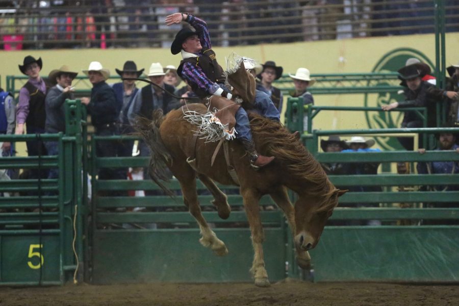 Chase Rose, from the University of Wyoming, holds on tight during the bareback riding event at the 68th annual Skyline Stampede rodeo on April 7, 2018 at the B.W. Pickett Arena in Fort Collins.  (Forrest Czarnecki | The Collegian)