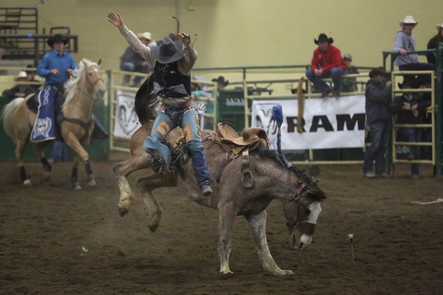 Cody Trump, from Chadron State, bails from his horse during the saddle bronc event at the 68th annual Skyline Stampede rodeo on April 7, 2018 at the B.W. Pickett Arena in Fort Collins.  (Forrest Czarnecki | The Collegian)