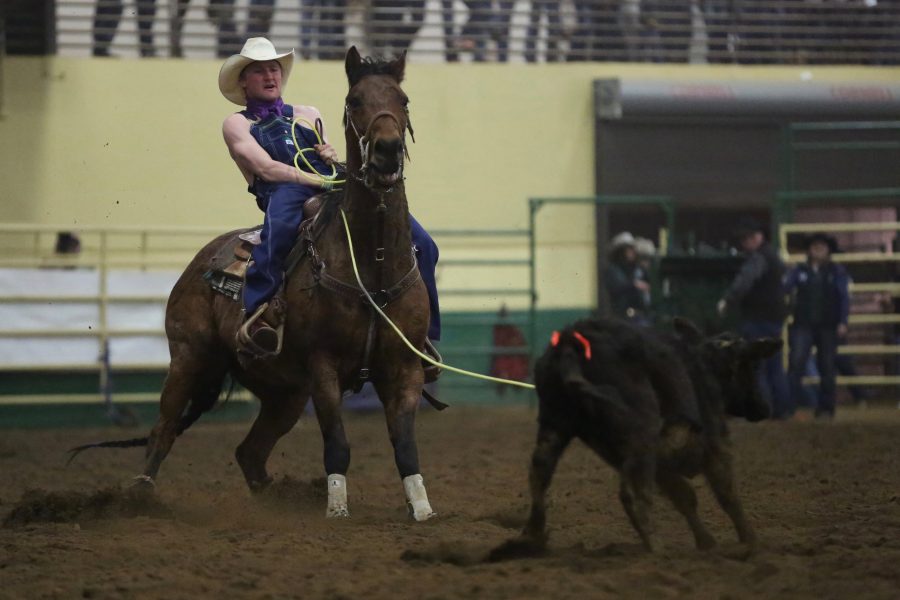 Northeastern Junior College rodeo athletes compete in the costume ribbon roping event at the 68th annual Skyline Stampede rodeo on April 7, 2018 at the B.W. Pickett Arena in Fort Collins.  (Forrest Czarnecki | The Collegian)