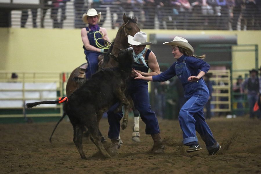 Northeastern Junior College rodeo athletes compete in the costume ribbon roping event at the 68th annual Skyline Stampede rodeo on April 7, 2018 at the B.W. Pickett Arena in Fort Collins.  (Forrest Czarnecki | The Collegian)