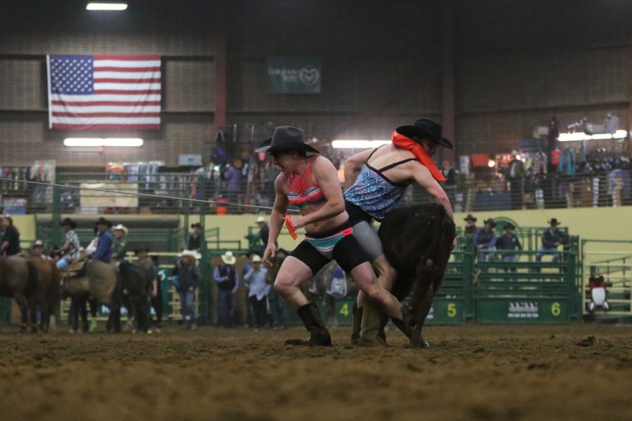 Rodeo athletes compete in the costume ribbon roping event at the 68th annual Skyline Stampede rodeo on April 7, 2018 at the B.W. Pickett Arena in Fort Collins.  (Forrest Czarnecki | The Collegian)
