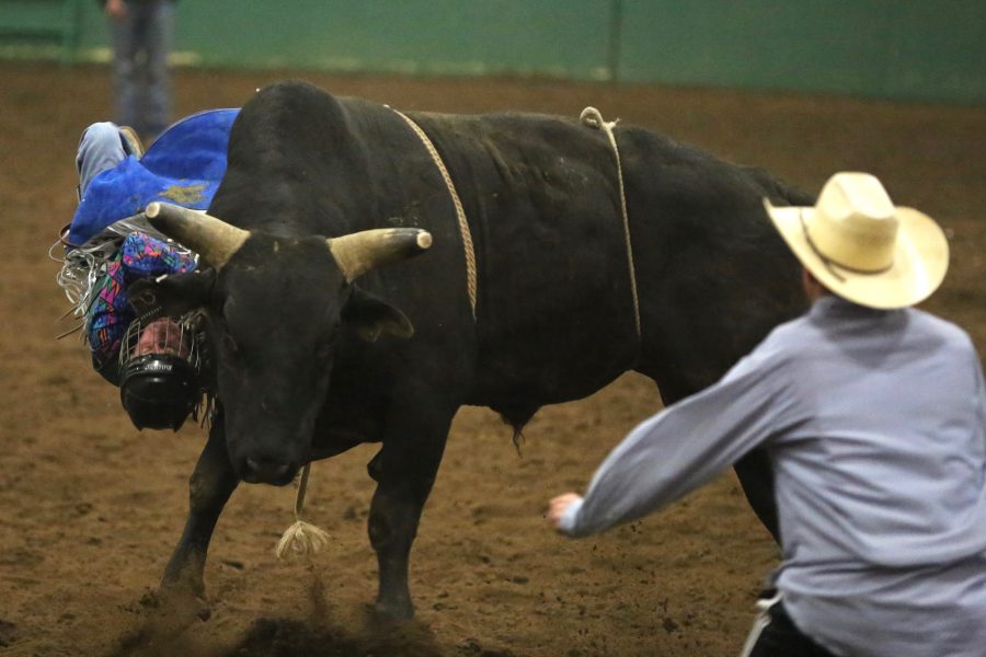 Colorado State University's Cody Compton competes in bull riding at the 68th annual Skyline Stampede rodeo on April 7, 2018 at the B.W. Pickett Arena in Fort Collins.  (Forrest Czarnecki | The Collegian)