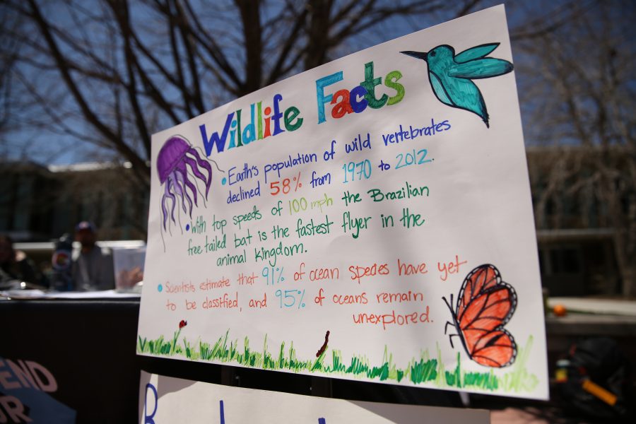 A poster displaying facts about wildlife is seen on display on April 25, 2018 in the plaza.  (Forrest Czarnecki | The Collegian)