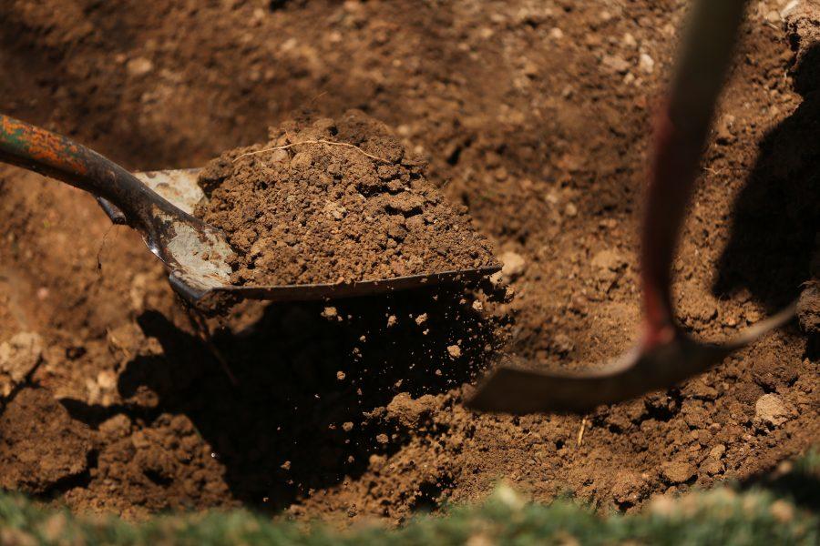 Volunteers shovel dirt out of a planting well before placing a transplant tree in the well on April 27, 2018.  (Forrest Czarnecki | The Collegian)