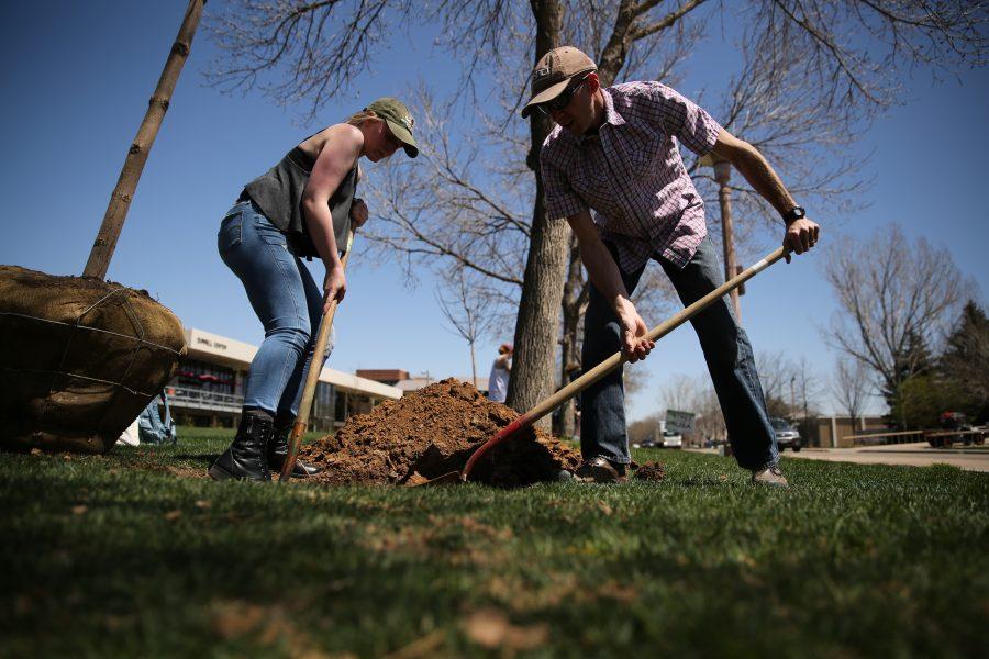 Colorado State University student Haley Obermueller, left, and CSU Landscape Architect David Hansen, right, shovel dirt out of a planting well at a tree planting event on April 27, 2018 during Earth Week at CSU.  (Forrest Czarnecki | The Collegian)
