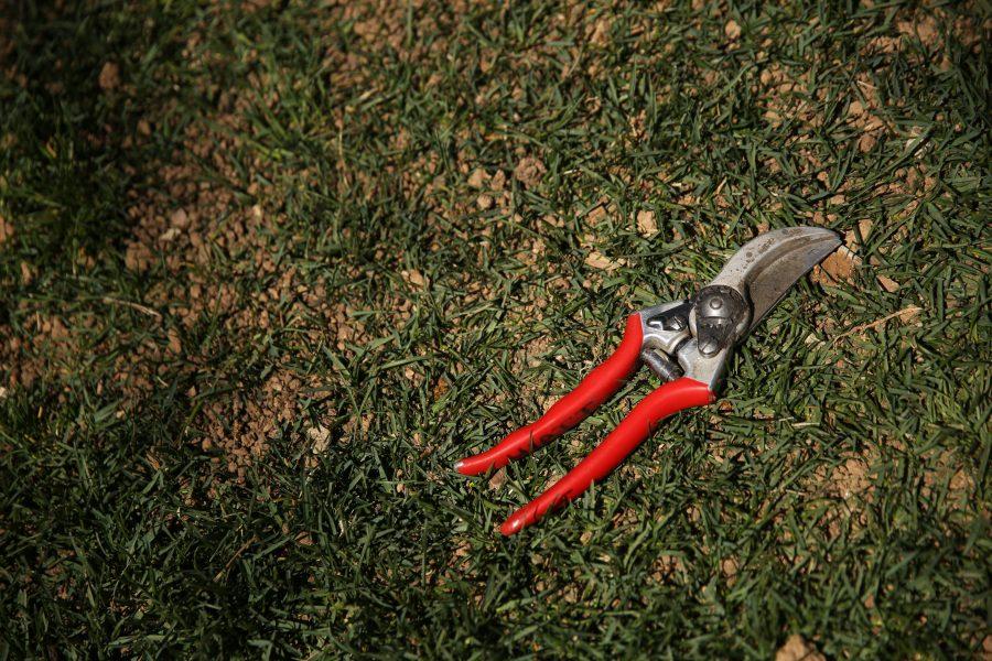 A pair of shears lays on the ground at a tree planting event along Plum Street during Earth Week on April 27, 2018.  (Forrest Czarnecki | The Collegian)