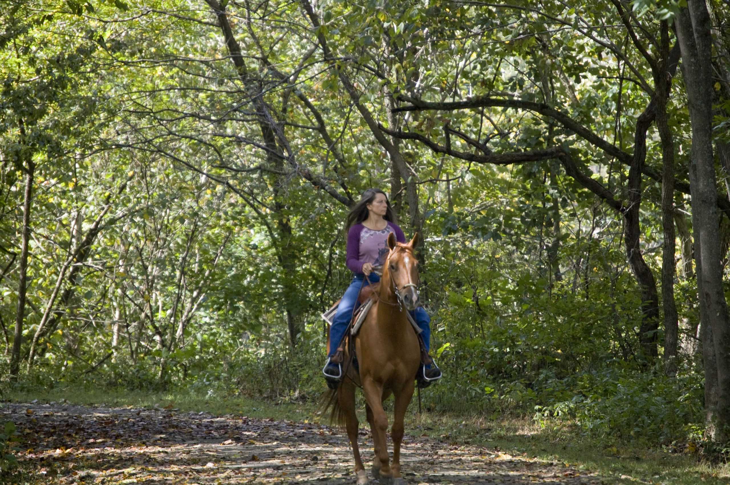 Local Horseback Riding - The Rocky Mountain Collegian