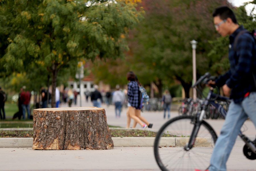 The stump sits on the Plaza as students walk through between classes.