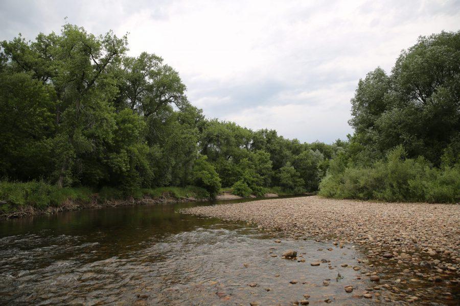 The Cache la Poudre River is pictured at Legacy Park in Fort Collins. Fort Collins police found the body of Cordell Starkey in the river on June 24th.  (Forrest Czarnecki | The Collegian)