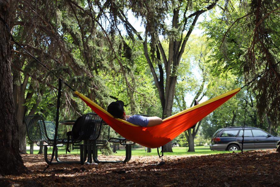 A CSU student relaxes in a hammock between two trees near the oval Sunday afternoon. CSU is allegedly enacting a hammock ban campus wide. (Brooke Buchan | Collegian) 