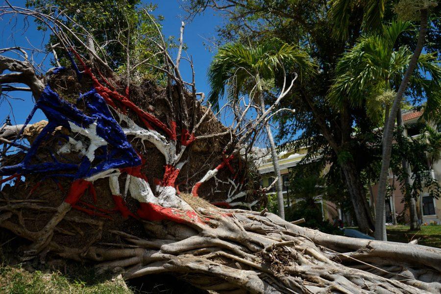Citizens have begun to make art out of the damage in protest of the little help they have received from both the Puerto Rican and United States' governments. (Collegian | Lauryn Bolz)
