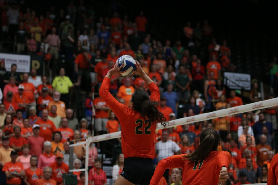Katie Oleksak jumps to back set the ball for Paulina Hougaard-Jensen (Devin Cornelius | Collegian)
