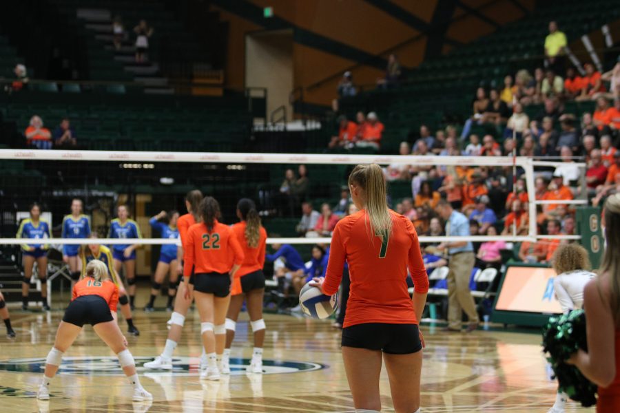 Sasha Colombo prepares to serve the ball. (Devin Cornelius | Collegain)