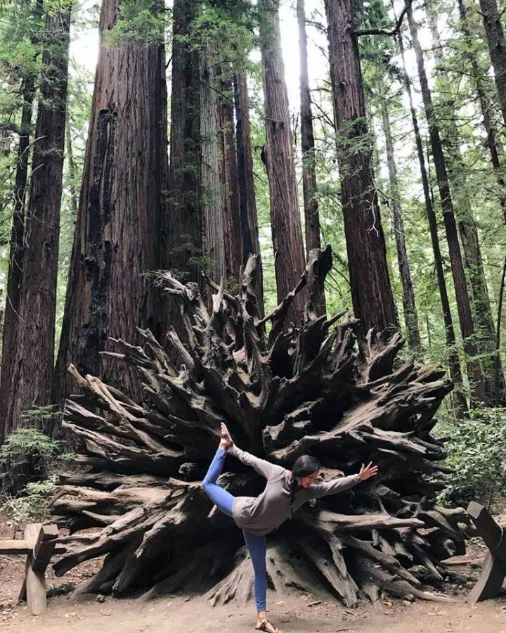Yoga, A Life Journey