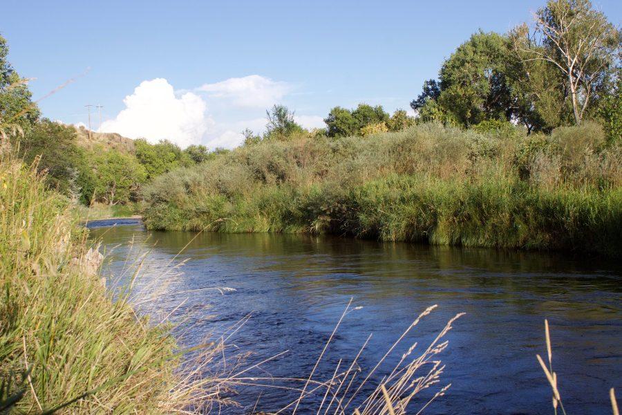 The 50th anniversary of the Wild and Scenic Rivers Act is on October 2, 2018. The act was created in 1968 to protect rivers from development. The Cache la Poudre river was granted protection in 1986 (Abby Flitton | Collegian)