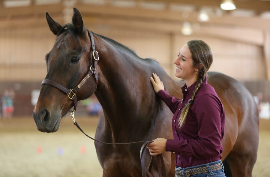 In this July 2018 file photo, Colorado State University student Kylie McGarity pets Bruce following a training session at the Adams-Atkinson Arena. Colorado State University has recently launched a new undergraduate certificate in Spanish for animal health and care to equip veterinary and animal science students with the communication skills necessary to interact with Spanish-speaking farmers and ranchers in rural areas. (Forrest Czarnecki | The Collegian)