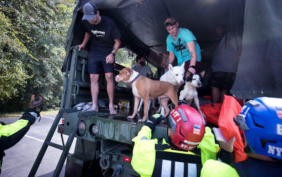 New York Urban Search and Rescue team members help residents get off a N.C. Army National Guard truck after being evacuated from the Heritage at Fort Bragg Apartments in Spring Lake, N.C., Tuesday Sept. 18, 2018. (Julia Wall/Raleigh News & Observer/TNS)
