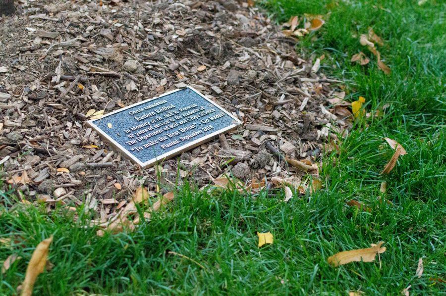 The plaque underneath the Dr. Jack Fenwick memoriam tree reads, In Memory of Dr. Jack R. Fenwick, 42 years of service to the students of The Department of Soil and Crops Science. To make the best better -Go Rams! The tree was planted in September this year. (AJ Frankson | Collegian)