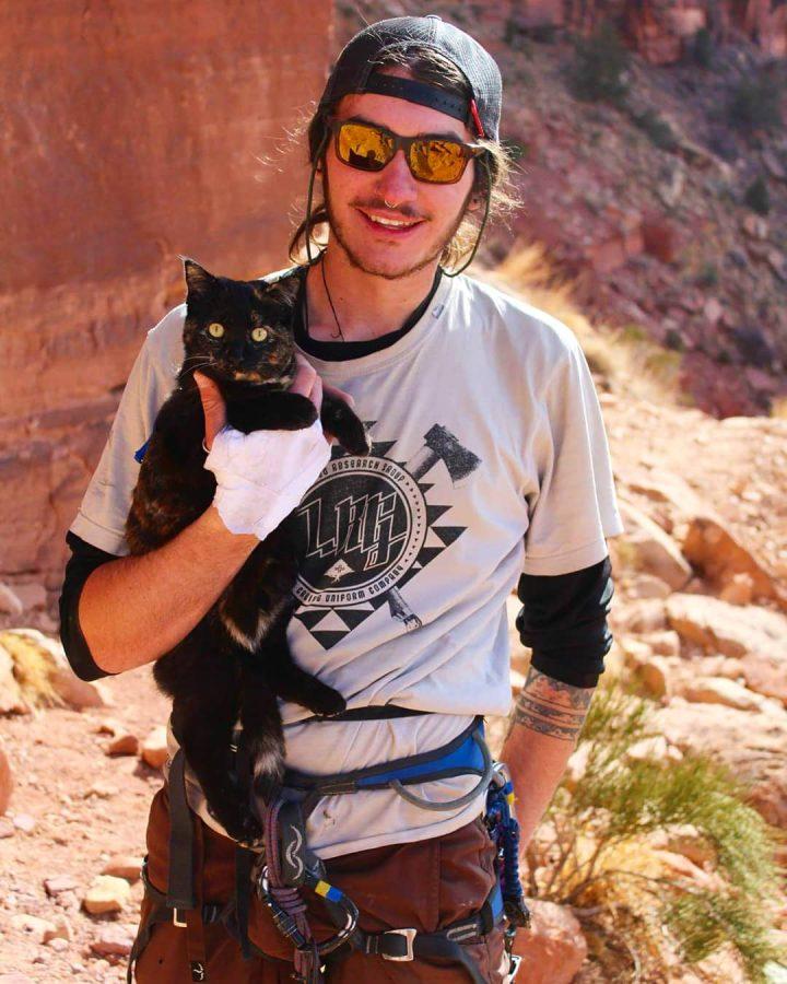 A Cats Adventure in the Desert