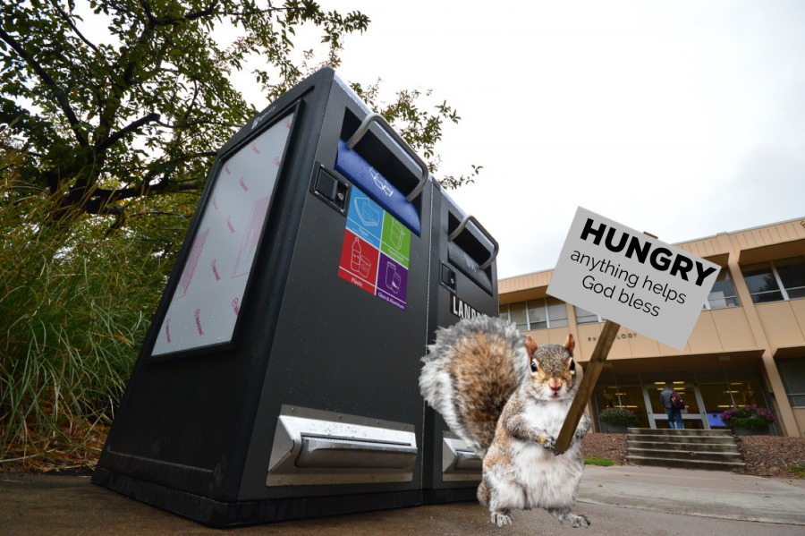 Seriously: New trash cans to blame for declining squirrel population
