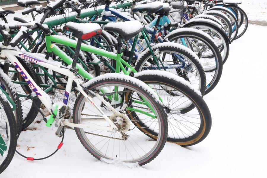Snow-covered bike rack outside Allison Hall on Thursday morning, Dec. 6. (Anna von Pechmann | Collegian) 