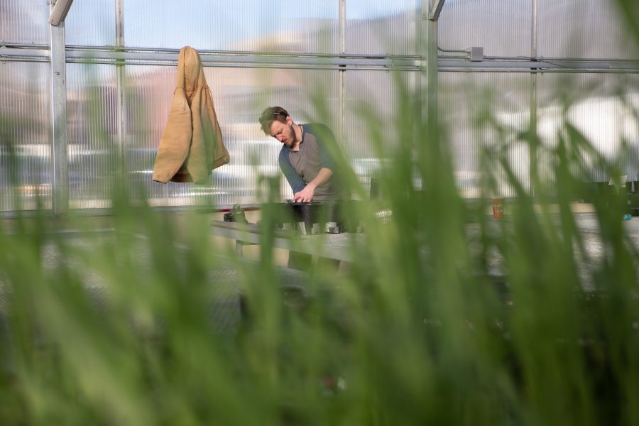 Senior soil and crop sciences major Bo Collins fills planter pots with soil inside the Plant Growth Facilities greenhouse Thursday morning. The pots are for a class exercise that will study the effect of adding worms to soil to increase its nutrient content. Collins originally became interested in farming and soil while living in Thailand in his early twenties. After owning a farm in South Carolina, he came to Fort Collins to further his education on these topics. "I'm trying my best to educate myself, so I can better communicate the importance of soil and these issues to the nonscientific world," he says. (Brooke Buchan | Collegian)