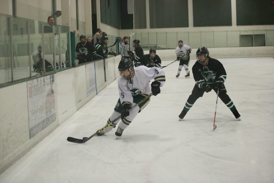 Katie Hurley (9) gains posession of the puck during  CSU's home game against Utah. The Rams win 4-3 (Devin Cornelius | Collegian)
