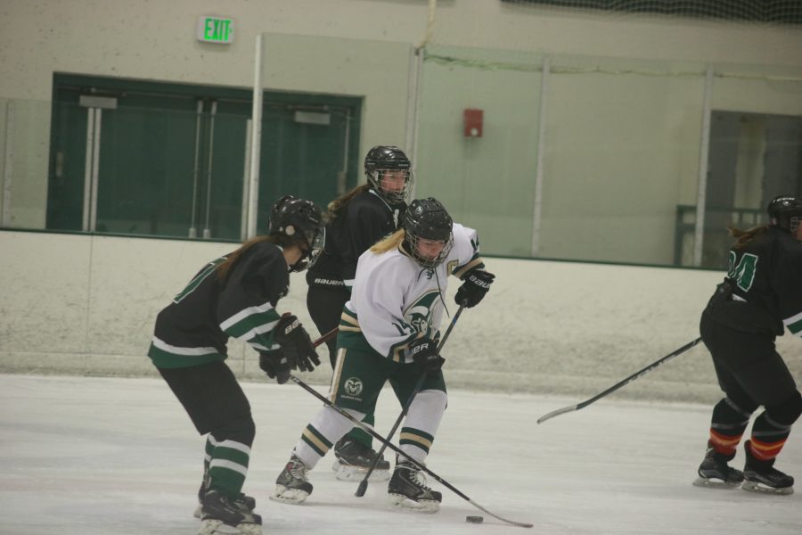 Kristen Perry (14) fights for the puck, as the Rams battle the Utes. CSU beats Utah 4-3 (Devin Cornelius | Collegian)