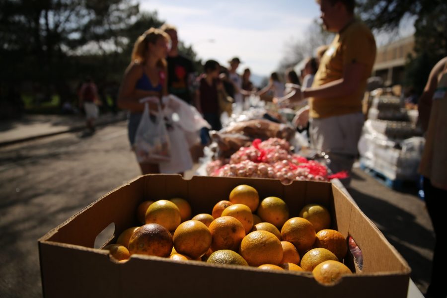 Boxes filled with oranges are pictured at an event put on by SLiCE and the Larimer County Food Bank on Thursday afternoon in front of the Sherwood Forest. The event was put on to help fight food insecurity at Colorado State University. (Forrest Czarnecki | Collegian)