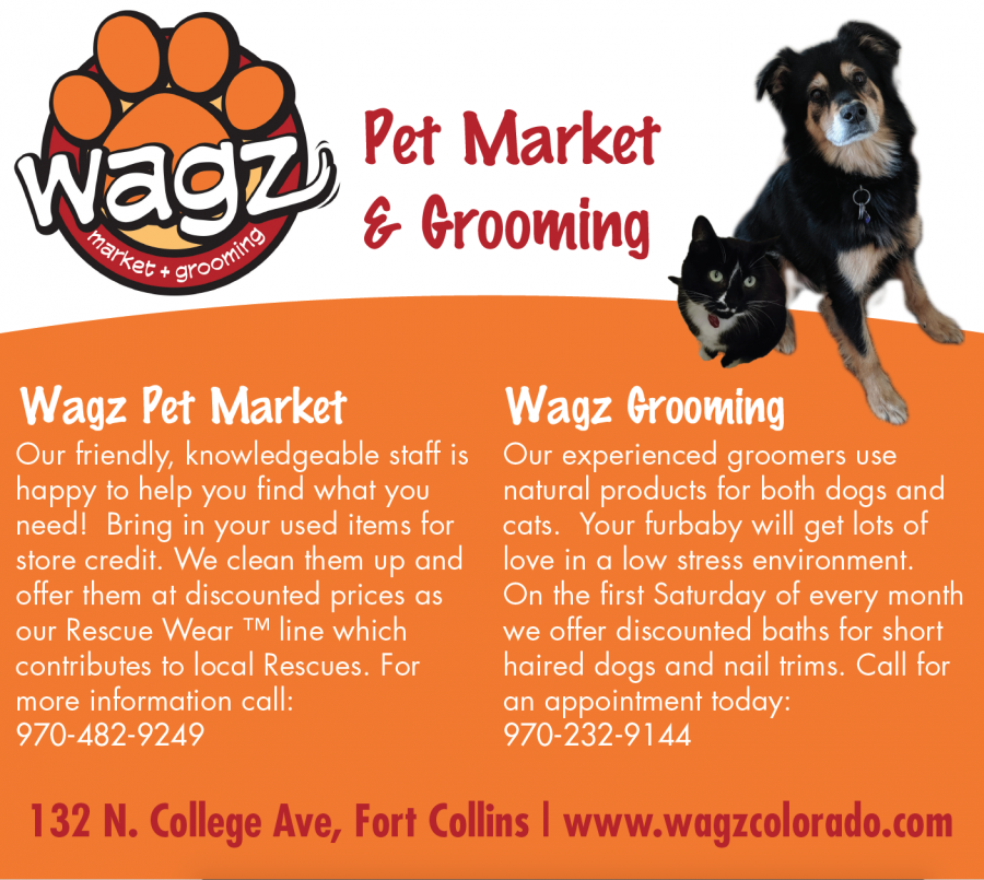Wagz: Your one stop shop for all your pet needs