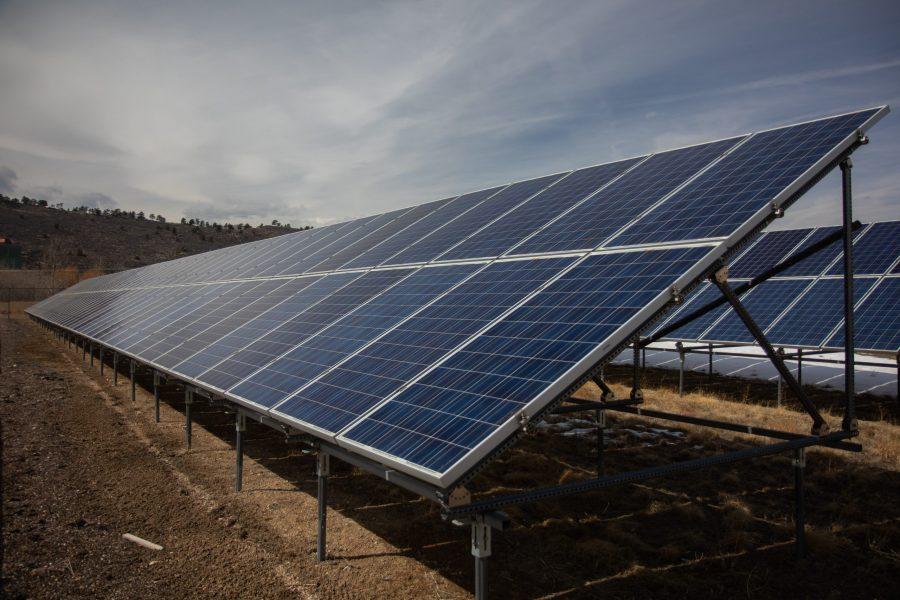 Solar panels on the Foothills campus. (Julia Trowbridge | Collegian)