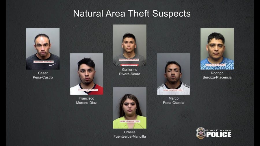 Eight suspects apprehended in two series of credit card thefts