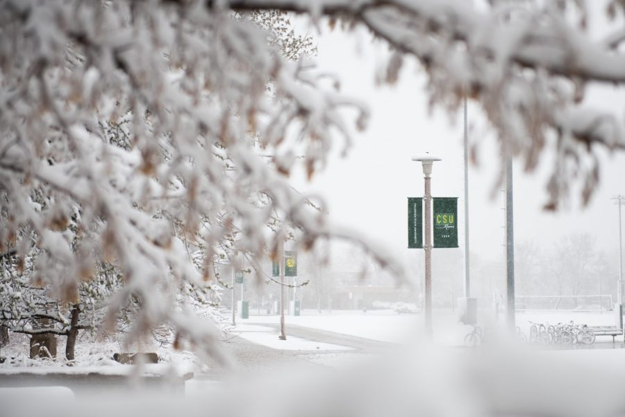 Following the National Weather Service Forecast for Northern Colorado, CSU cancelled all classes and campus events after 3pm. The NWS warned severe weather conditions would make driving to and from campus extremely difficult, if not impossible. (Colin Shepherd | Collegian)