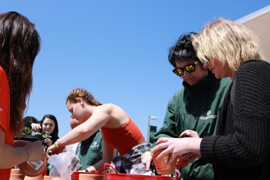 Jenn and Diane Ducett fill a pot with soil and a succulent that they got from a booth during the CSU Earth day celebration. (Devin Cornelius | Collegian)