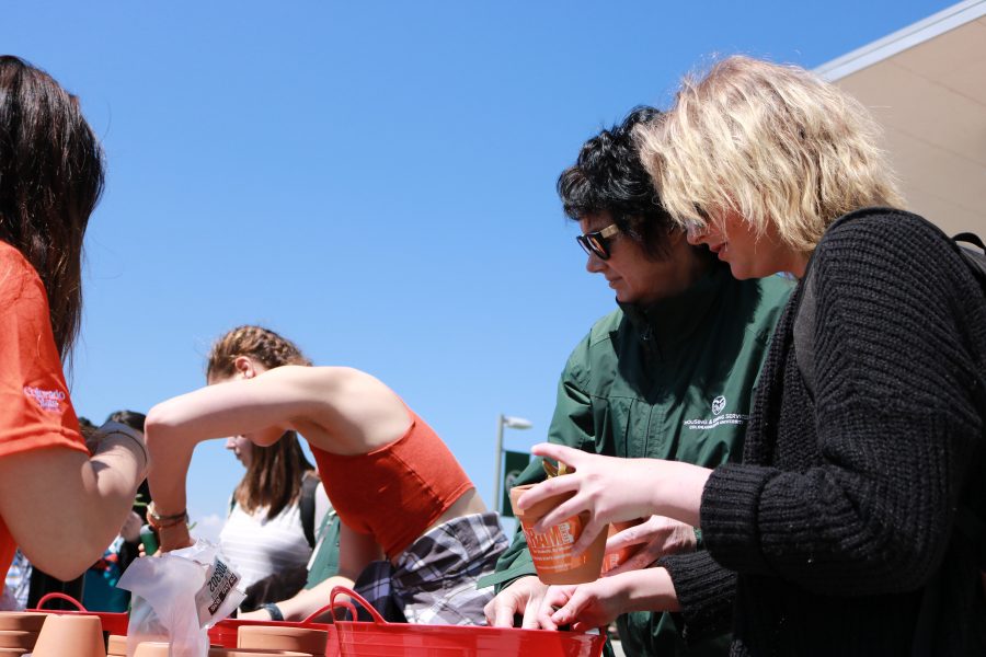 Jenn and Diane Ducett fill a pot with soil and a succulent that they got from a booth during the CSU Earth day celebration. (Devin Cornelius | Collegian)