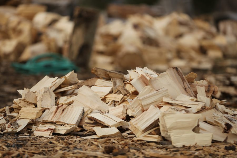A pile of logs and wood chunks sits by the wayside after being split at one of the Colorado State University logging team's recent practices. (Forrest Czarnecki | College Avenue)