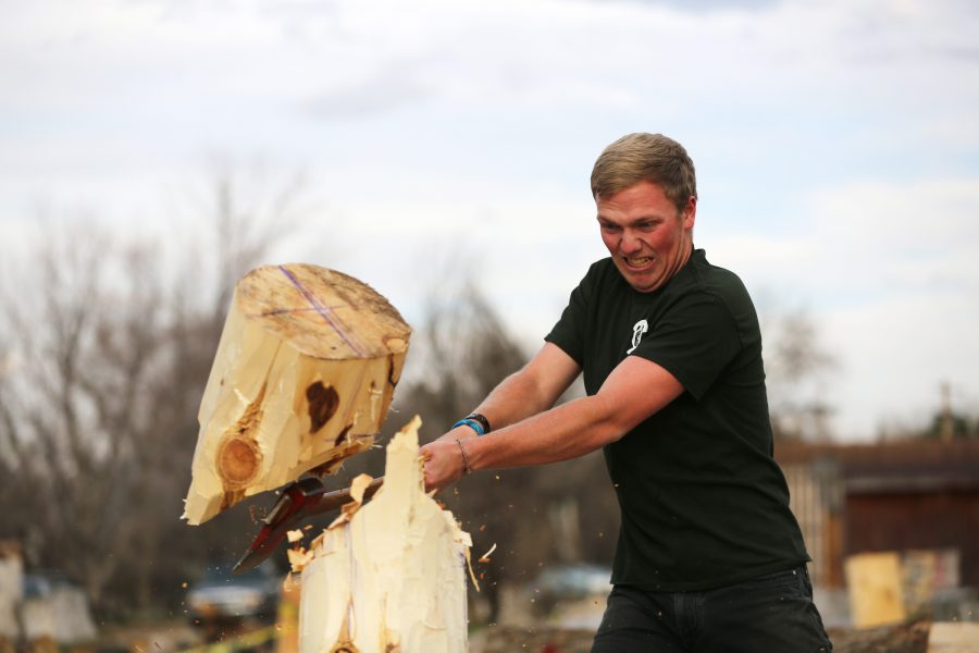 Parker Allen takes an axe to a pre-cut log while practicing the vertical chop event at one of the Colorado State University logging team's recent practices. (Forrest Czarnecki | College Avenue)