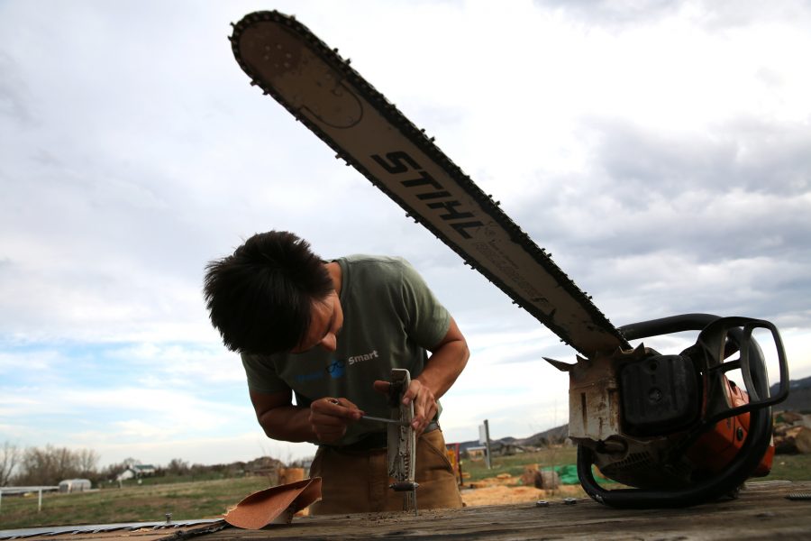 Galen Burr performs some maintenance on a chainsaw following one of the Colorado State University logging team's recent practices. (Forrest Czarnecki | College Avenue)