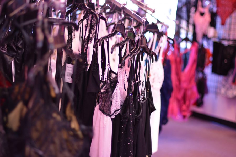 Doctor Johns adult store sells a variety of toys and apparel, including lingerie of all shapes and sizes. (Maya | Collegian)