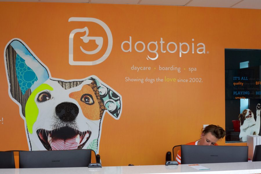 The front desk of Dogtopia May 8. Ashley Todd, the owner, explained that Dogtopia has a“noble cause” which is to “enhance the joy of dog parenthood and enable dogs to positively change our world.” (Ryan Schmidt | Collegian)

