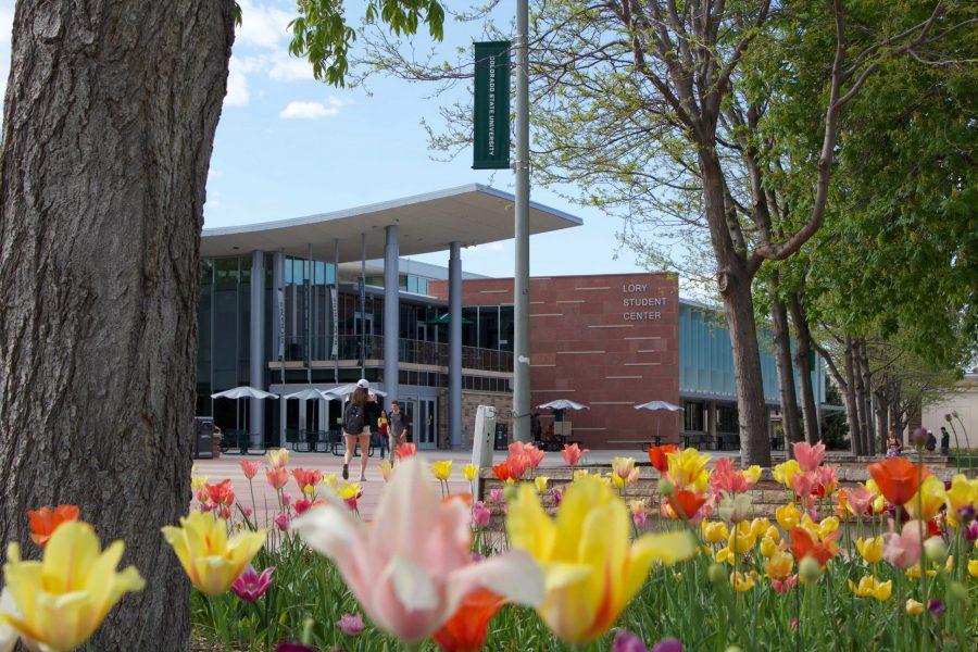 Colorado State University has many classes and other oppurtunities available to students and community members over the summer. (Matt Begeman | The Collegian)